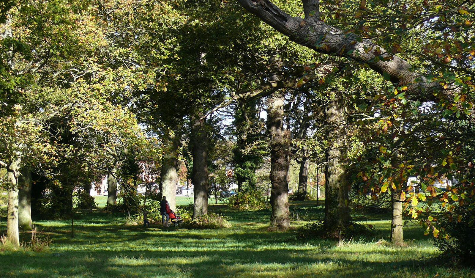 45365594_10161083024020652_2799447082098753536_o